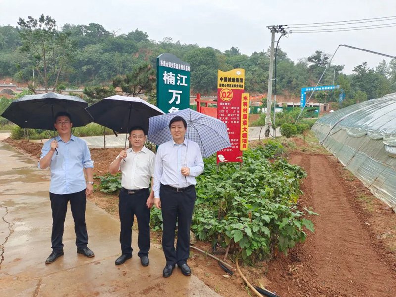 BB电子平台首页纪委书记王鲁生到宜阳县香鹿山镇东韩村调研乡村振兴工作